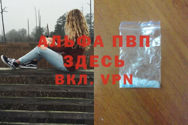 дживик Краснослободск