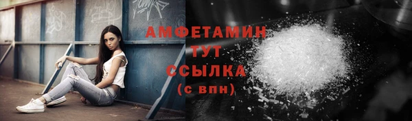 дживик Краснослободск