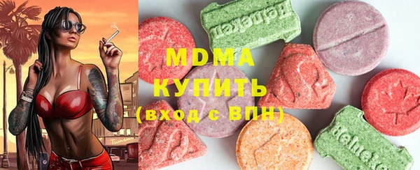 дживик Краснослободск