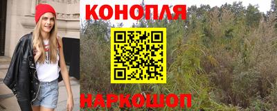 прущие грибы Гусиноозёрск