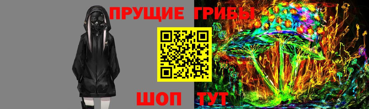 Галлюциногенные грибы GOLDEN TEACHER  Вход с VPN  Людиново  Псилоцибиновые грибы Magic Shrooms 