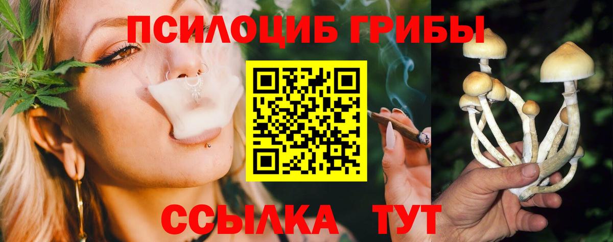 Псилоцибиновые грибы прущие грибы  Галлюциногенные грибы GOLDEN TEACHER  Людиново 